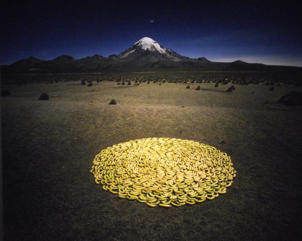 Shores like you Scarlett Hooft Graafland