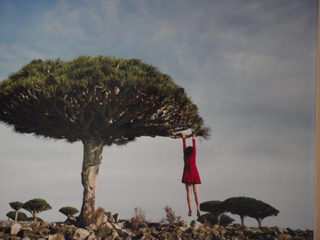 scarlett-hooft-graafland-shores-like-you-3
