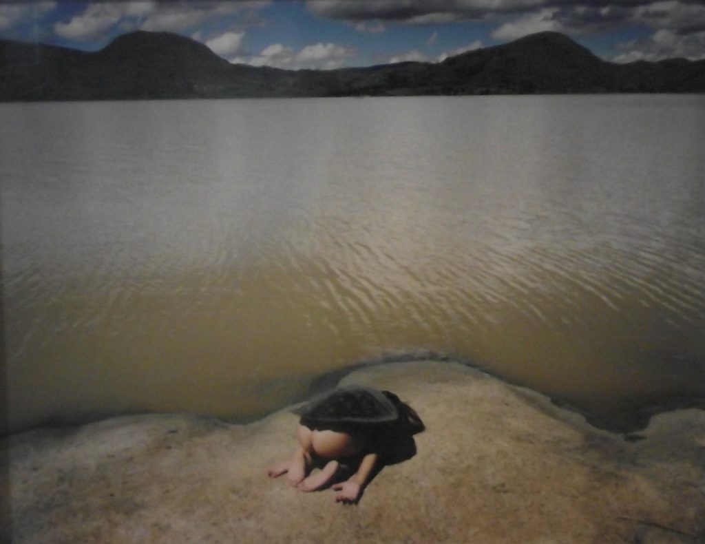 shores-lijke-you Scarlett Hooft Graafland