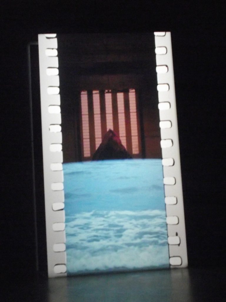 tacita-dean-film-zee-berg