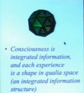 Tononi Consciousness is like a diamant