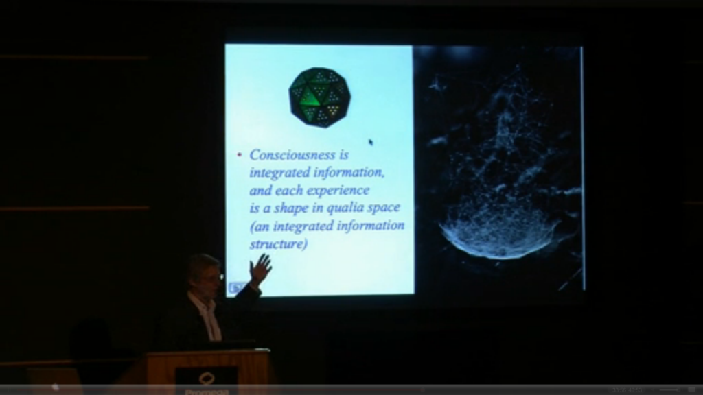 Tononi Consciousness is like a diamant