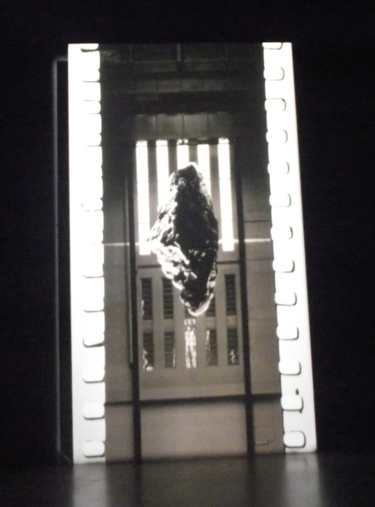 tacita-dean-film-steen